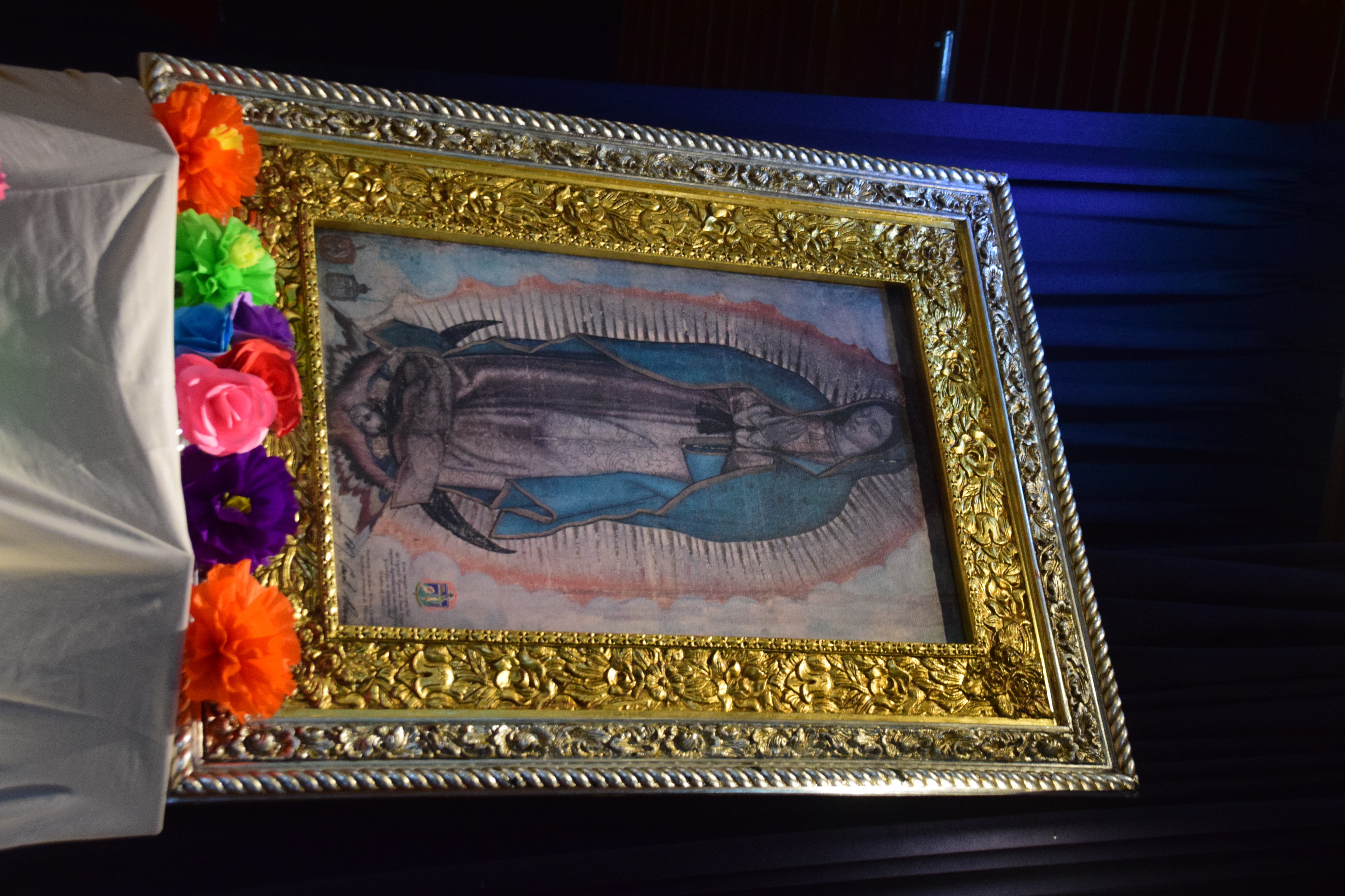 Fotografía de Usuario